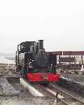 Mountaineer stands on the long shed pit shortly before departing across the Cob   (07/08/2003)