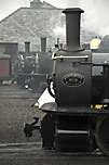 A collection of Fairlies raise steam at Boston Lodge.       (01/05/2005)