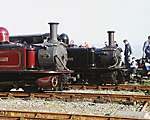 A meeting of elderly Double-Fairlies, ‘Livingston Thompson’ and ‘Merddin Emrys’.   (30/04/2005)