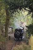 ‘Merddin Emrys’ runs downhill through Plas halt.       (16/10/2005)