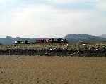 ‘Linda’ sets out along the Cob with a short mixed train.   (01/05/2004)