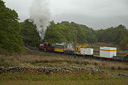 ‘Prince’ waits below Dduallt before running into the siding       (06/05/2007)