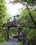 A fleeting glimpse as ‘Blanche’ crosses the road at Tanybwlch   (18/09/2000)