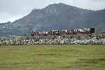 ‘Mountaineer’ runs along the Cob with an 8 carriage down train.   (25/09/2004)