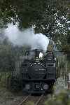 ‘Earl of Merioneth’ whistles on the approach to Bron Turner crossing with a down train.   (26/09/2004)