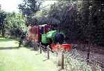 ‘Woto’ enters Leedon passing loop with a train from Pages Park   (10/09/1994)