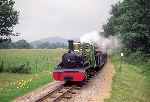 ‘River Irt’ approaches Muncaster Mill from the east   (29/06/2000)