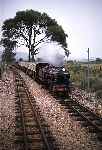 4-8-2 No 5 ‘Hercules’ at St Botolph's crossing, returning to New Romney with the last train of the day   (07/08/1982)