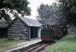 ‘Edward Thomas’ drifts downhill through the bridge at Rhydyronen   (31/07/1981)