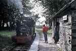 ‘Dolgoch’ draws up for passengers to board, Rhydyronen station   (31/07/1981)