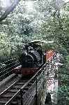 ‘Sir Haydn’ crosses Dolgoch viaduct shortly before arriving at Dolgoch station   (31/07/1981)