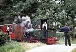 ‘Douglas’ crosses the road at Brynglas with the last down train of the day, the photographer now has a long walk!   (31/07/1981)