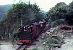 ‘Edward Thomas’ runs downhill through Quarry Siding   (01/08/1981)