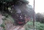 ‘Douglas’ is seen approaching Quarry Siding with an up train   (01/08/1981)