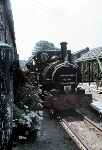 ‘Talyllyn’ passes Pendre station and loco shed with an up train   (02/08/1981)