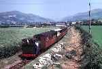 ‘Edward Thomas’ approaches Ty Mawr with train for Tywyn   (02/08/1981)