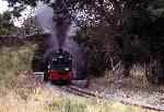 NGG16 138 pokes her front bogie out from under Pont Cael Moel   (22/09/2001)