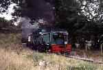 138 runs round the curve out of Cae Moel with a Waunfawr bound train   (22/09/2001)