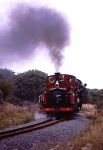 ‘Prince’ and ‘Taliesin’ pass Tryfan Junction   (22/09/2001)