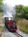 ‘Prince’ and ‘Taliesin’ at Pont Wernlasddu   (22/09/2001)