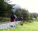 Garratt 143 winds around the curves at Salem with an up train   (27/09/2003)