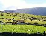 ‘Prince’ rolls down the hill towards Snowdon Ranger, Snowdon looms above   (28/09/2003)