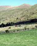 ‘Prince’ disappears into the distance as the train nears Snowdon Ranger   (28/09/2003)