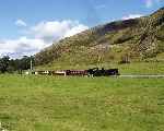 NGG16 143 leaves the cutting at Castell Cidym with a train for Rhyd Ddu   (28/09/2003)
