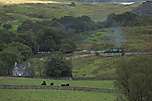 A mixed train comes off Glanrafon bridge with 138 at the head.       (17/09/2005)