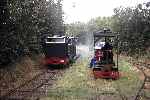 ‘Ousel’ hauls a passenger train past Lister railmotor no 3 ‘Pest’ near the locomotive shed   (04/09/1993)